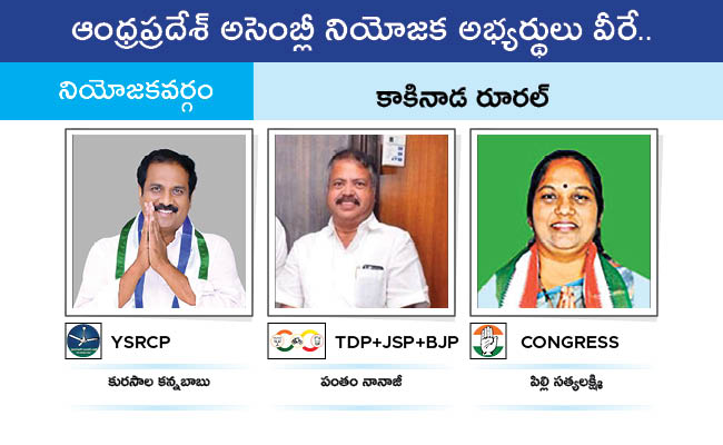 Who Will Win In Which Constituency In Andhra Pradesh Assembly Elections 2024 Results On June 4th47