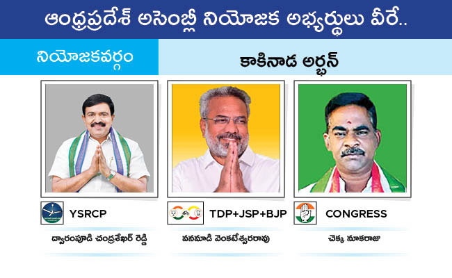 Who Will Win In Which Constituency In Andhra Pradesh Assembly Elections 2024 Results On June 4th49