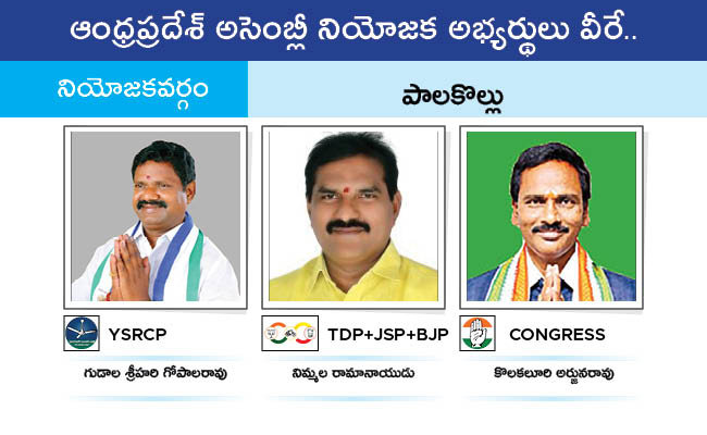 Who Will Win In Which Constituency In Andhra Pradesh Assembly Elections 2024 Results On June 4th56