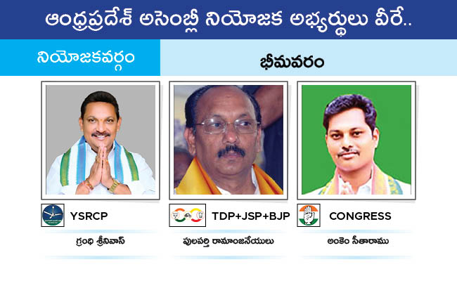 Who Will Win In Which Constituency In Andhra Pradesh Assembly Elections 2024 Results On June 4th64