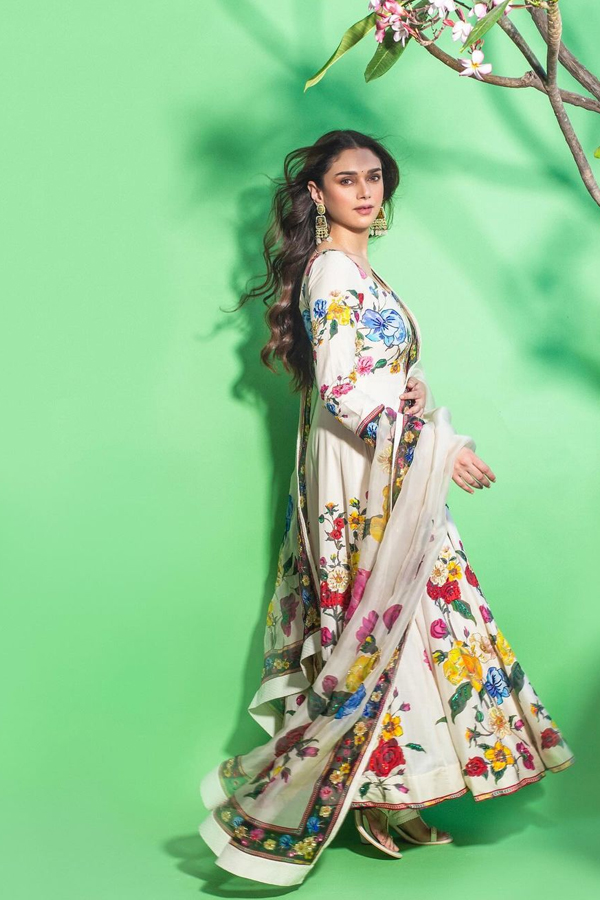 Mesmerizing Looks Of Aditi Rao Hydari Photos Goes Viral12