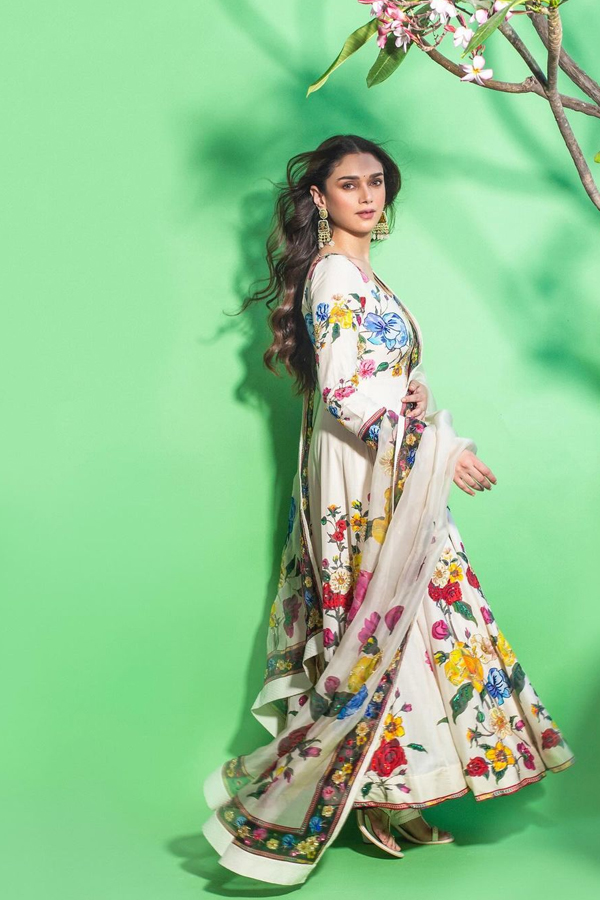 Mesmerizing Looks Of Aditi Rao Hydari Photos Goes Viral13