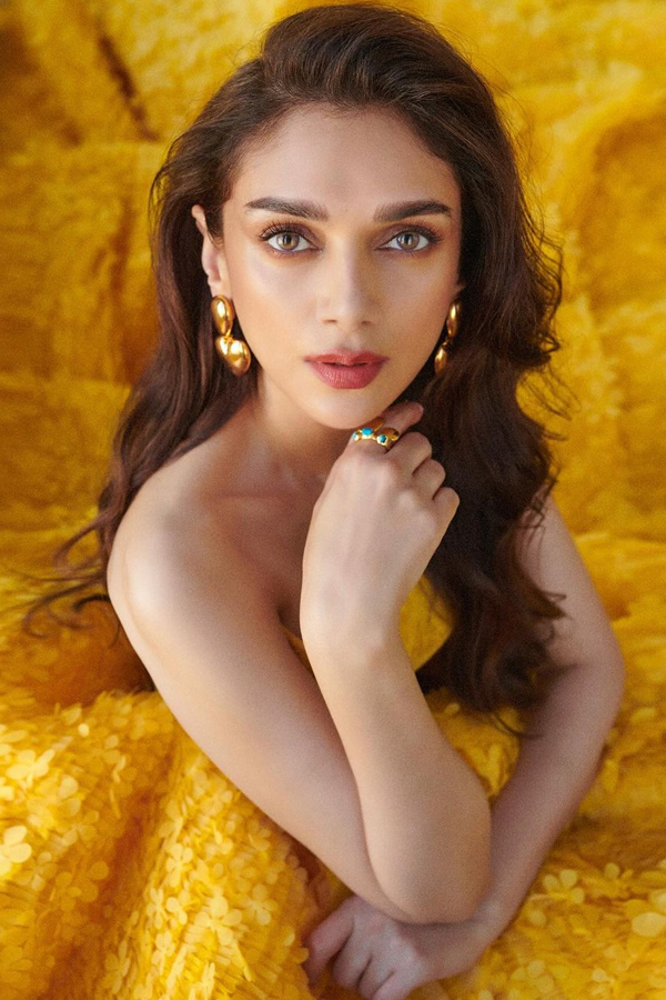 Mesmerizing Looks Of Aditi Rao Hydari Photos Goes Viral17