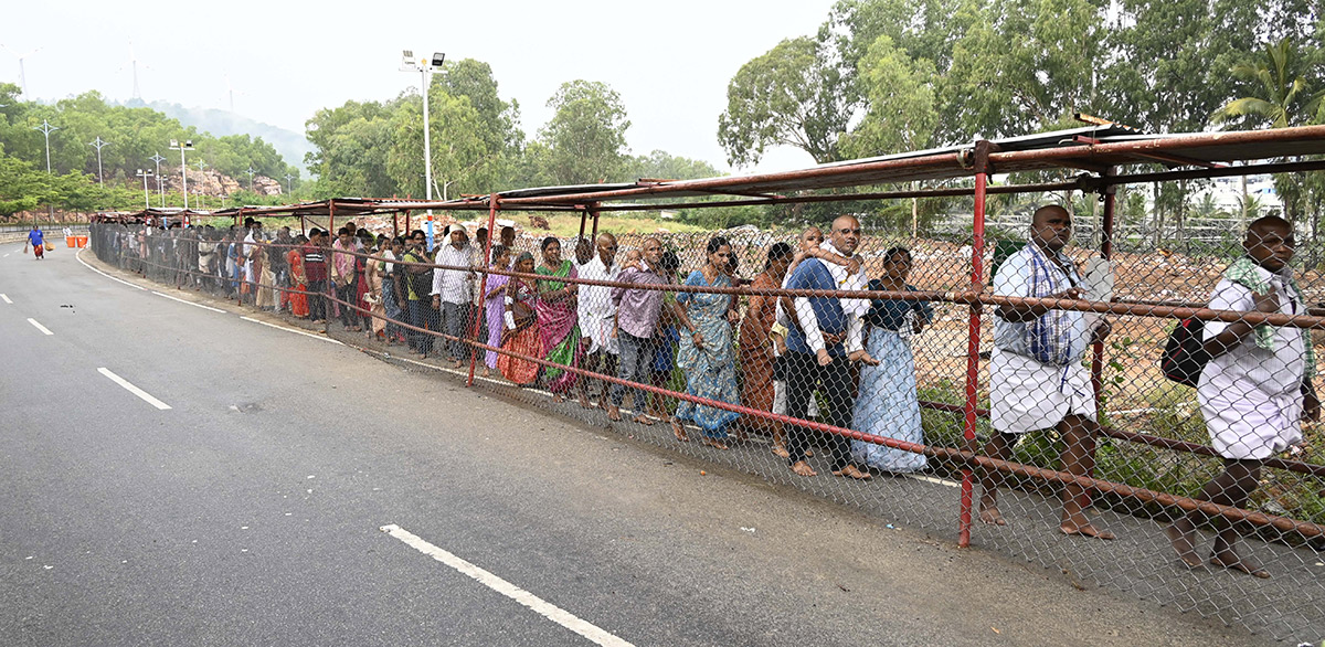 Huge Rush At Tirumala Temple, See Photos2