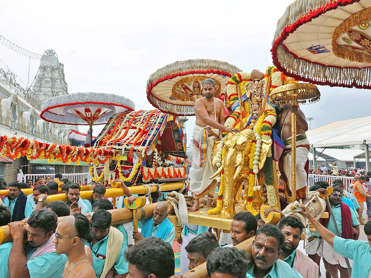 Padmavathi Parinayotsavam in Tirumala Photos1