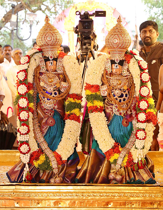 Padmavathi Parinayotsavam in Tirumala Photos20