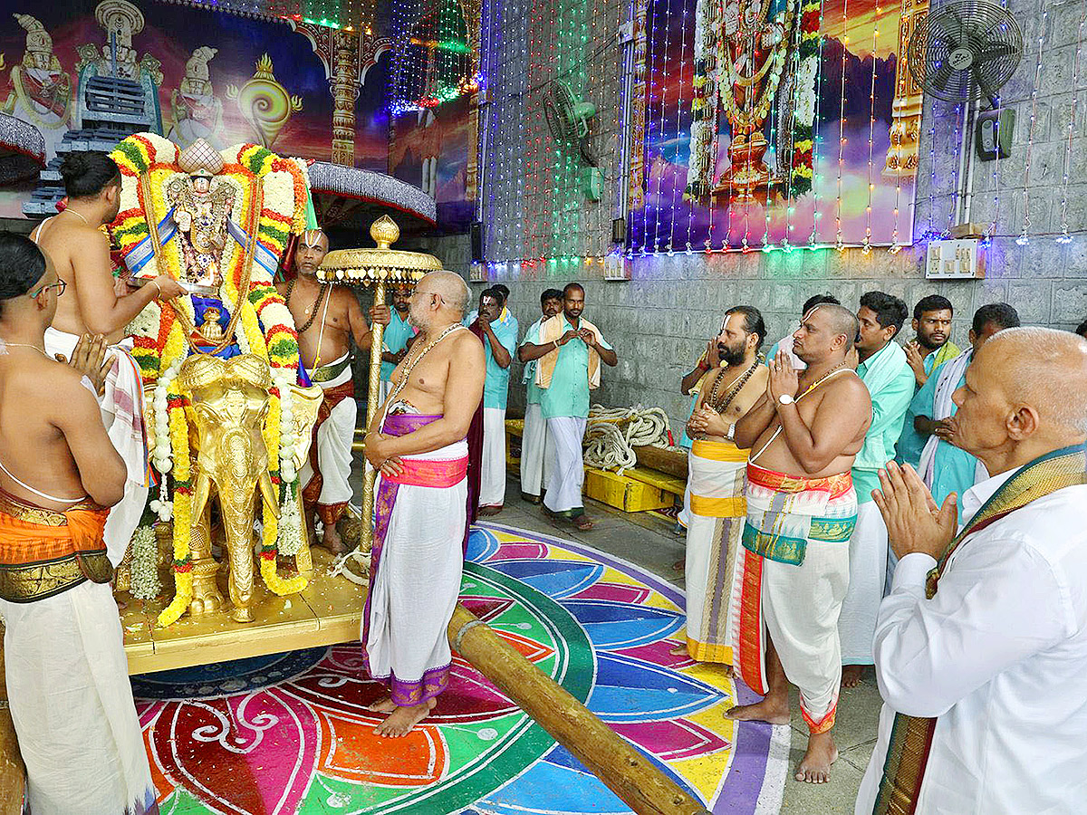 Padmavathi Parinayotsavam in Tirumala Photos23