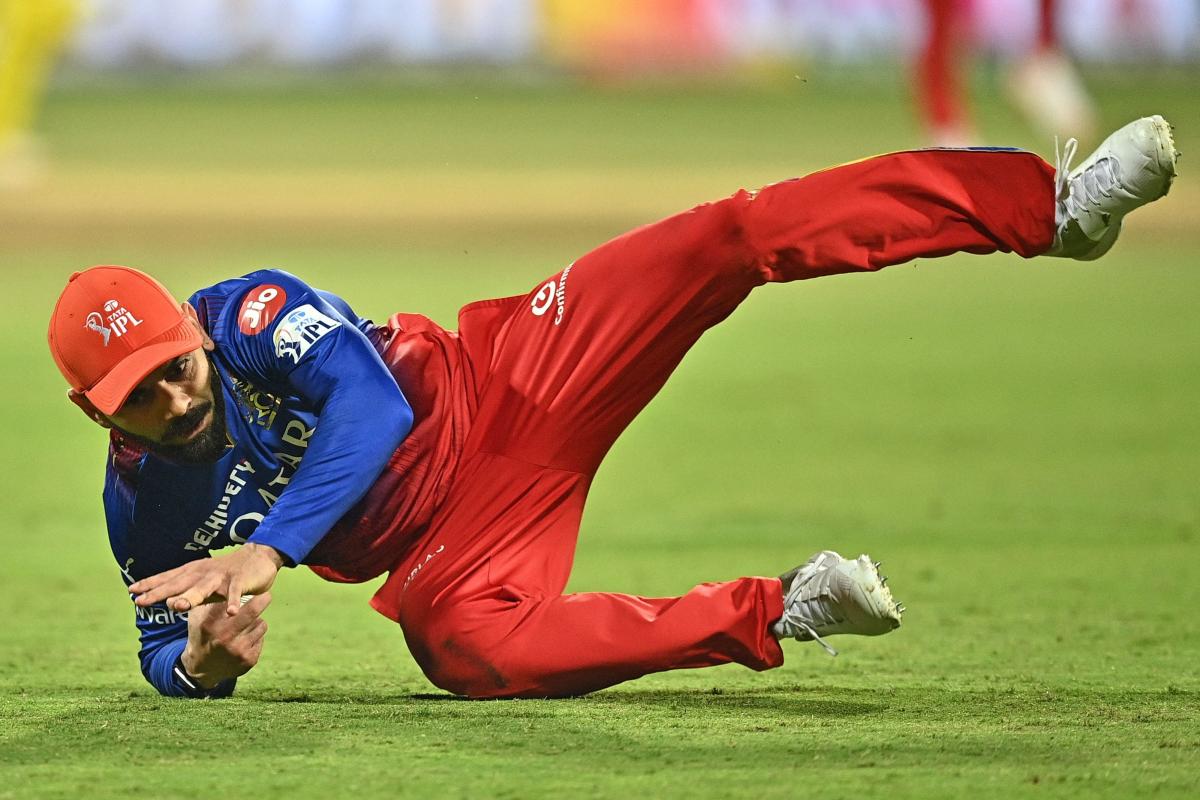 Royal Challengers Bengaluru Grab Final IPL 2024 Play-Off Berth: Photos11