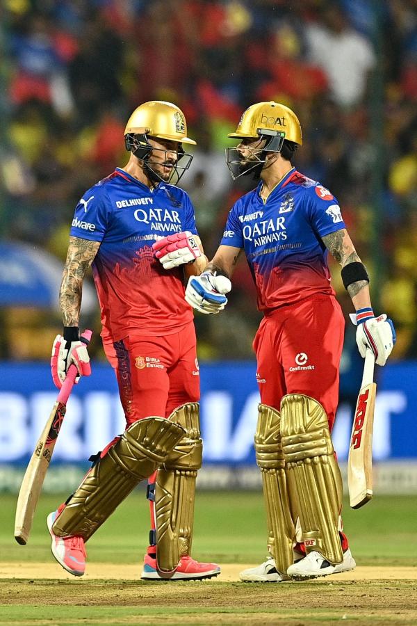 Royal Challengers Bengaluru Grab Final IPL 2024 Play-Off Berth: Photos19