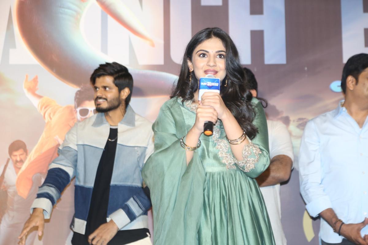 Gam Gam Ganesha Movie Trailer Launch Photos14