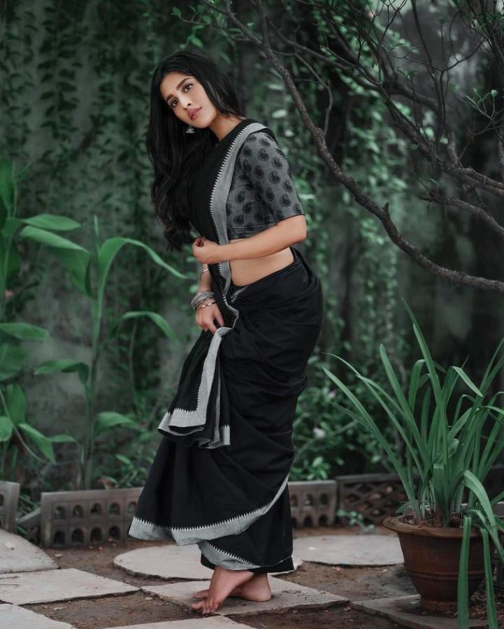 Nabha Natesh Latest Saree Photos Goes Viral3