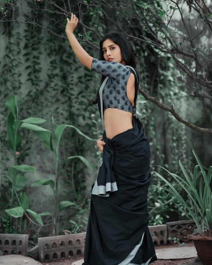 Nabha Natesh Latest Saree Photos Goes Viral9