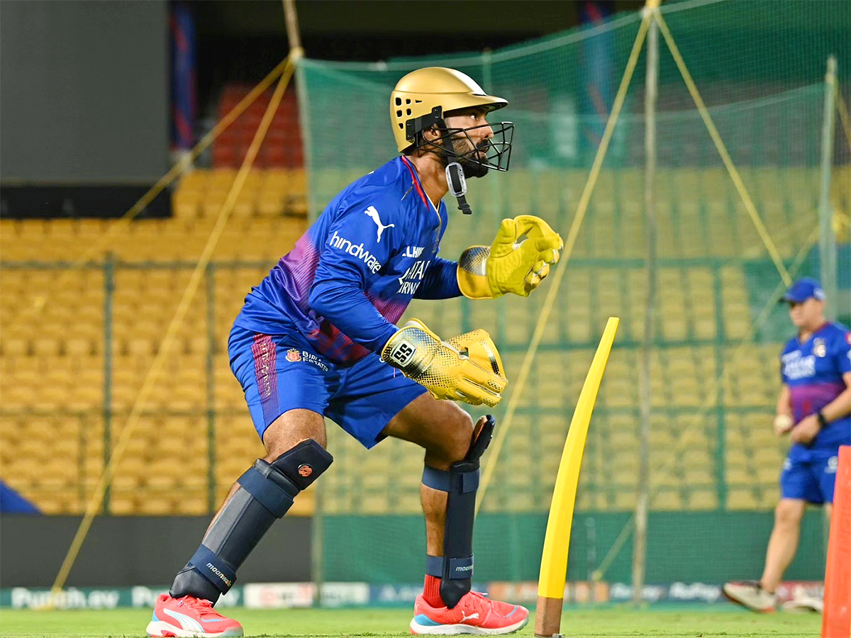 Dinesh Karthik Retirement Special Photos11