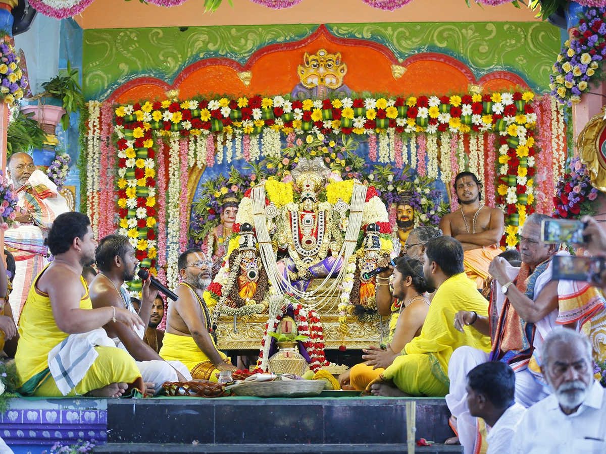 Tiruchanur Shree Padmavati Ammavari Rathotsavam Photos12