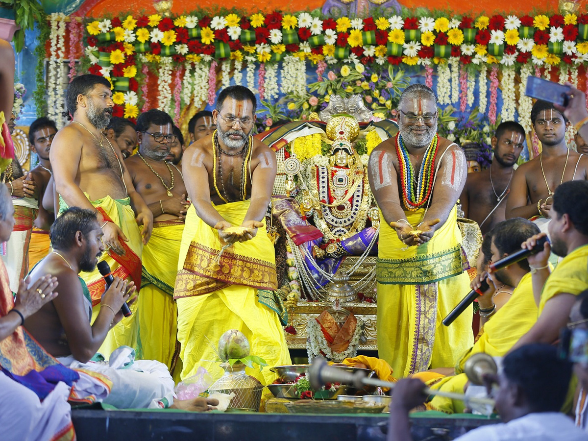 Tiruchanur Shree Padmavati Ammavari Rathotsavam Photos14