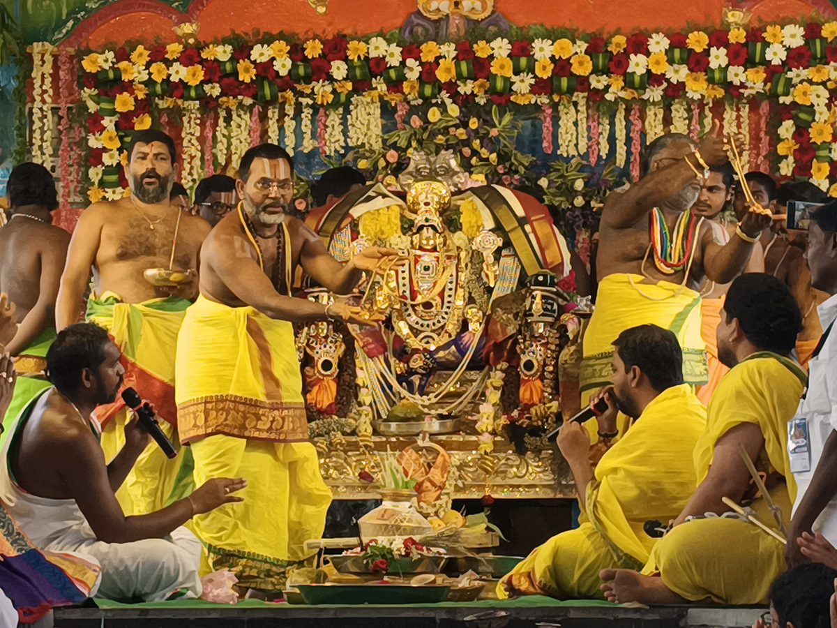 Tiruchanur Shree Padmavati Ammavari Rathotsavam Photos15