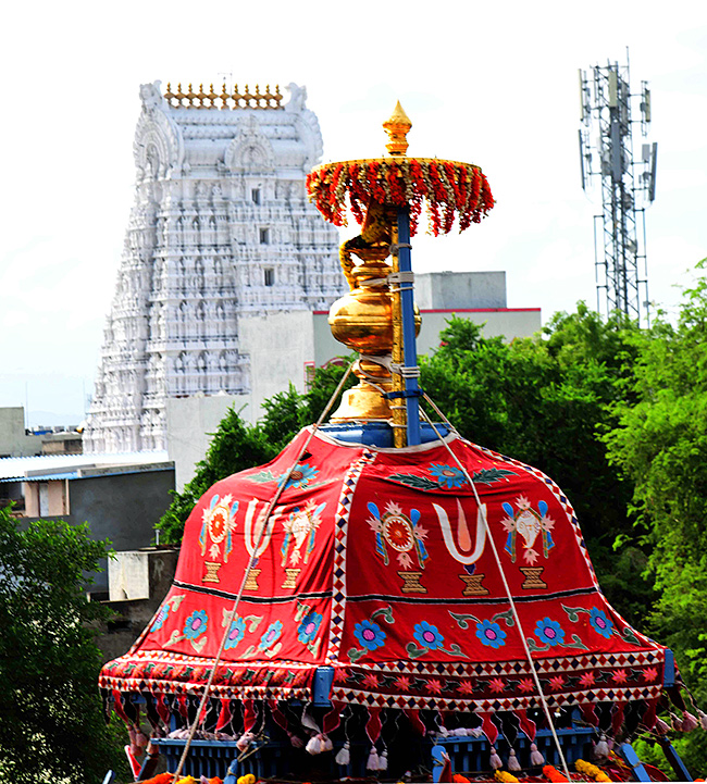 Tiruchanur Shree Padmavati Ammavari Rathotsavam Photos24