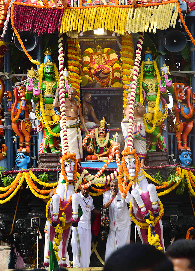 Tiruchanur Shree Padmavati Ammavari Rathotsavam Photos4