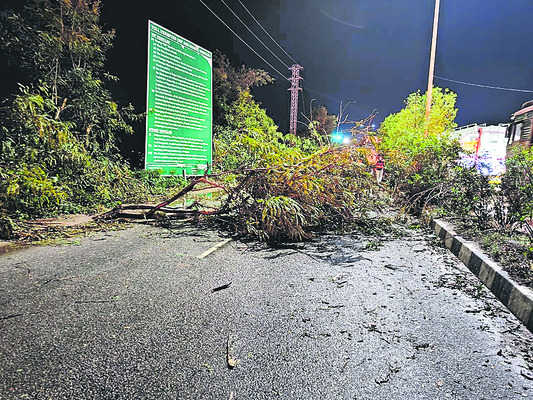 గాలివాన బీభత్సం 1