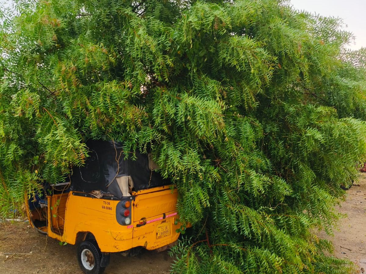 Rain and Gusty Winds In Telangana: Photos1