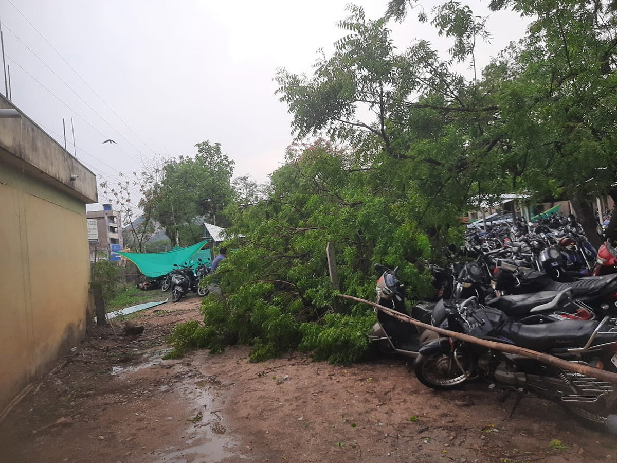 Rain and Gusty Winds In Telangana: Photos10