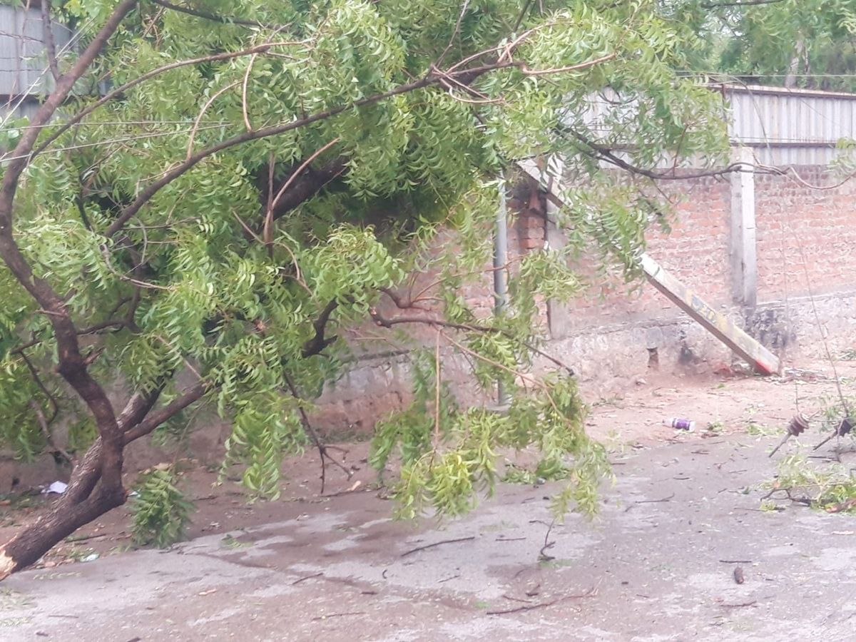 Rain and Gusty Winds In Telangana: Photos13