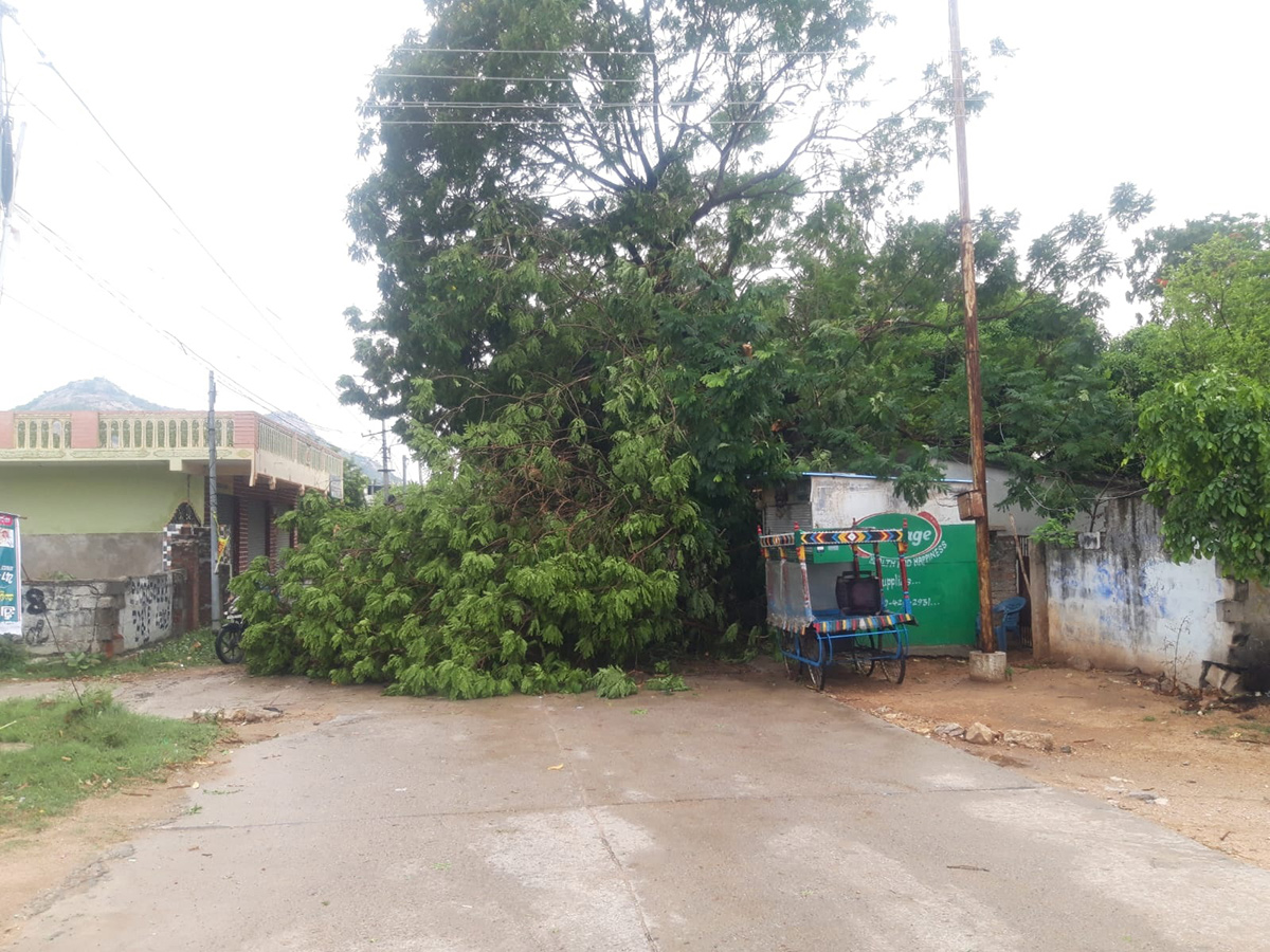 Rain and Gusty Winds In Telangana: Photos14