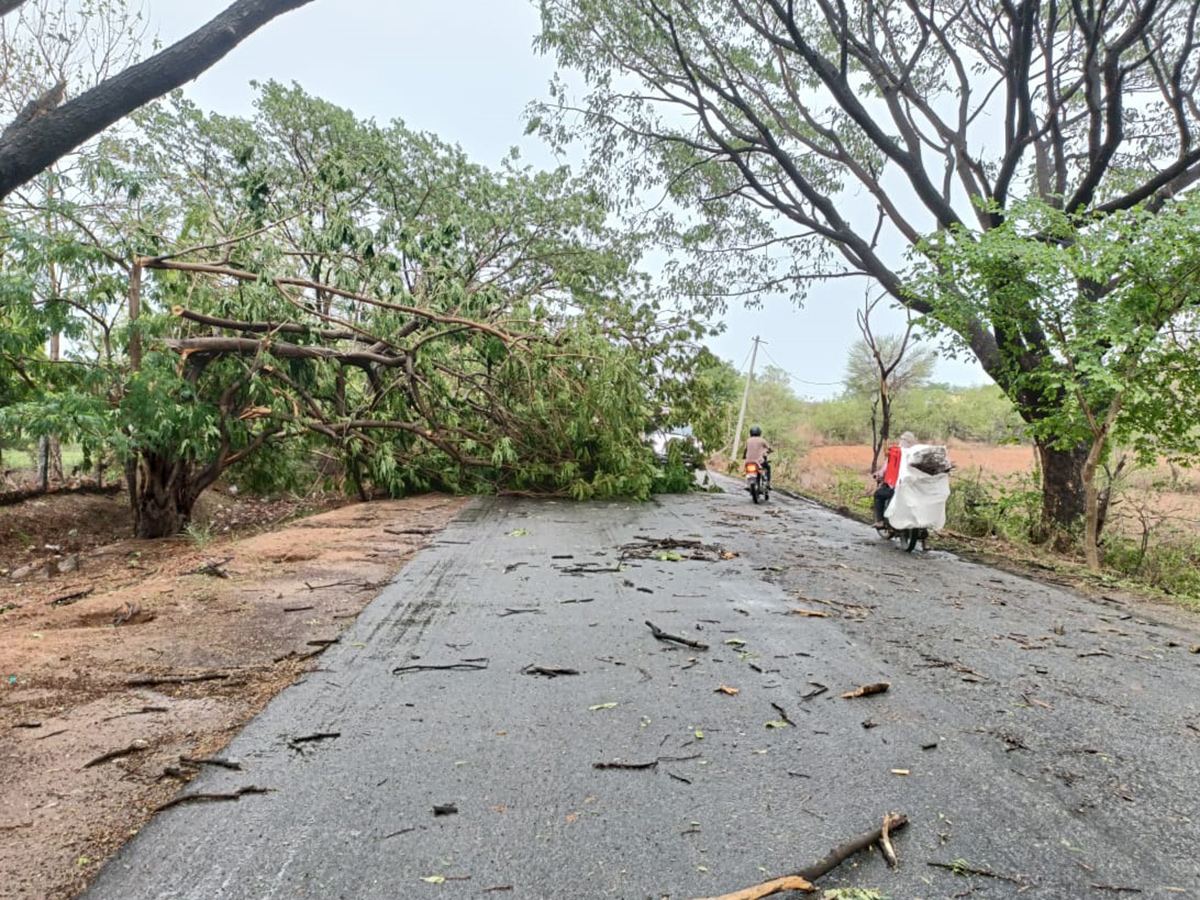 Rain and Gusty Winds In Telangana: Photos21