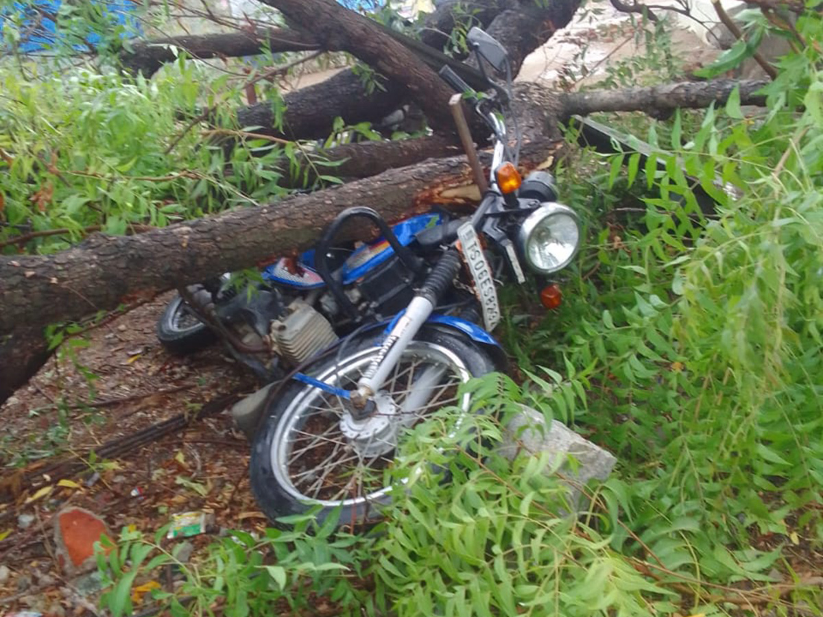 Rain and Gusty Winds In Telangana: Photos3