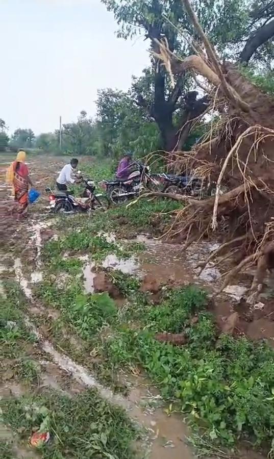 Rain and Gusty Winds In Telangana: Photos5