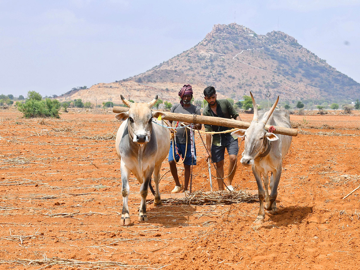 Best Photos of The Day in AP and Telangana Photo Gallery1