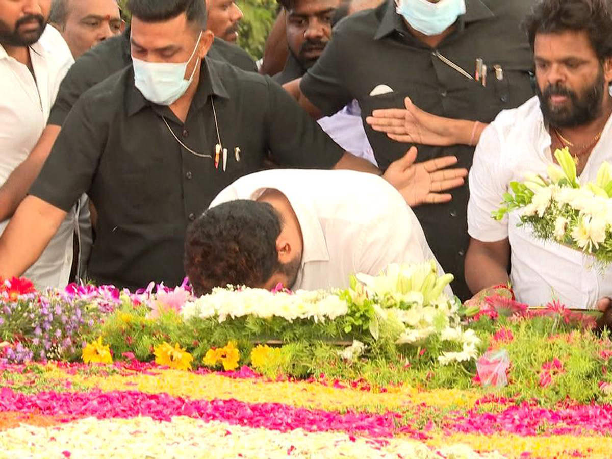 Jr NTR and Kalyan Ram Pays Tribute To NTR: Photos4