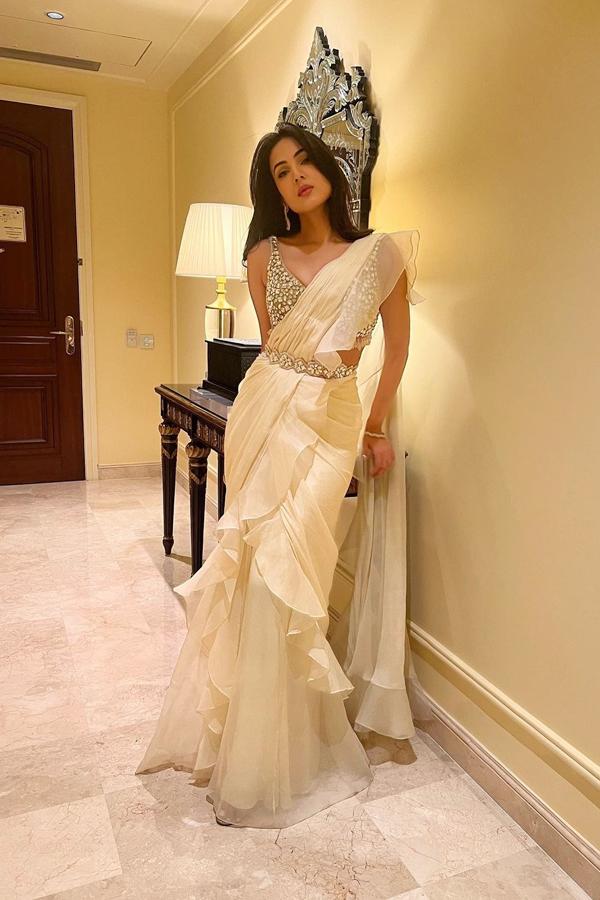 Bollywood Actress Sonal Chauhan In White Saree Photos Viral5