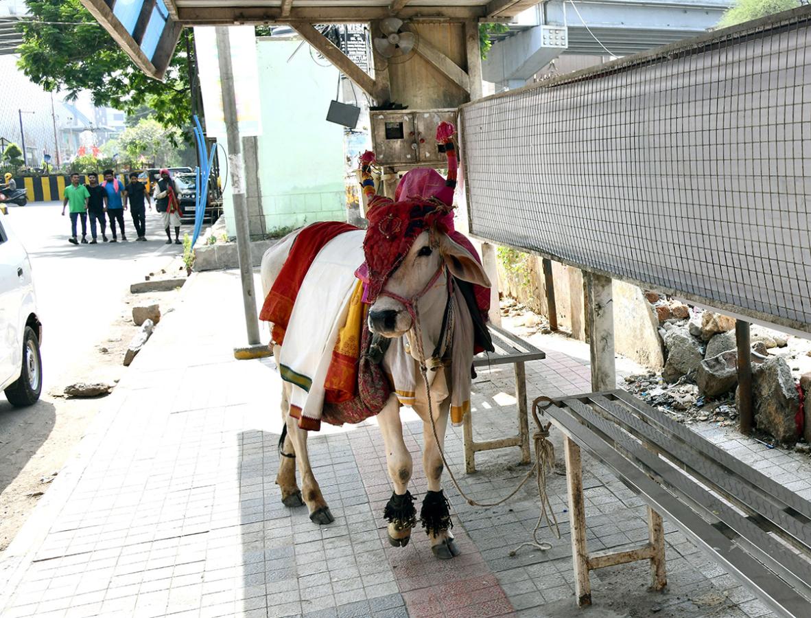 High Temperatures In Telugu States: Photos10