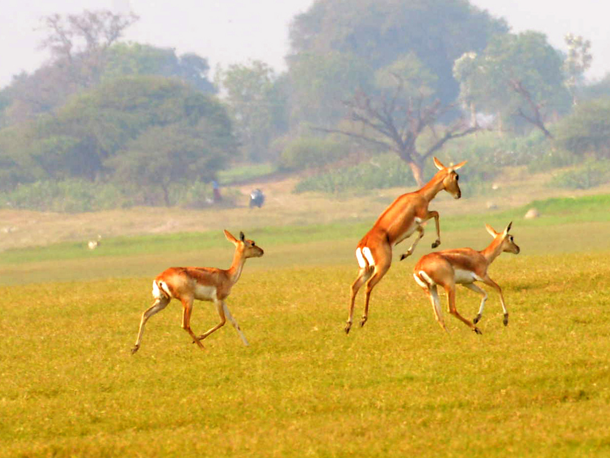 Best Photos of The Day in AP and Telangana Photo Gallery6