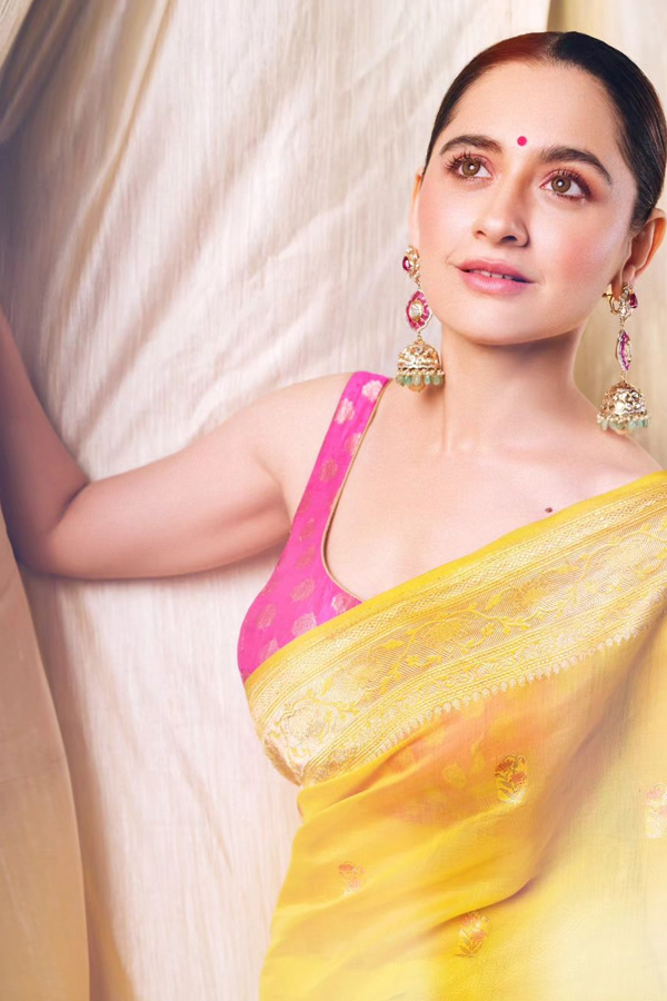 Heeramandi Heroine Sanjeeda Sheikh Looks Amazing In Yellow Saree Photos2