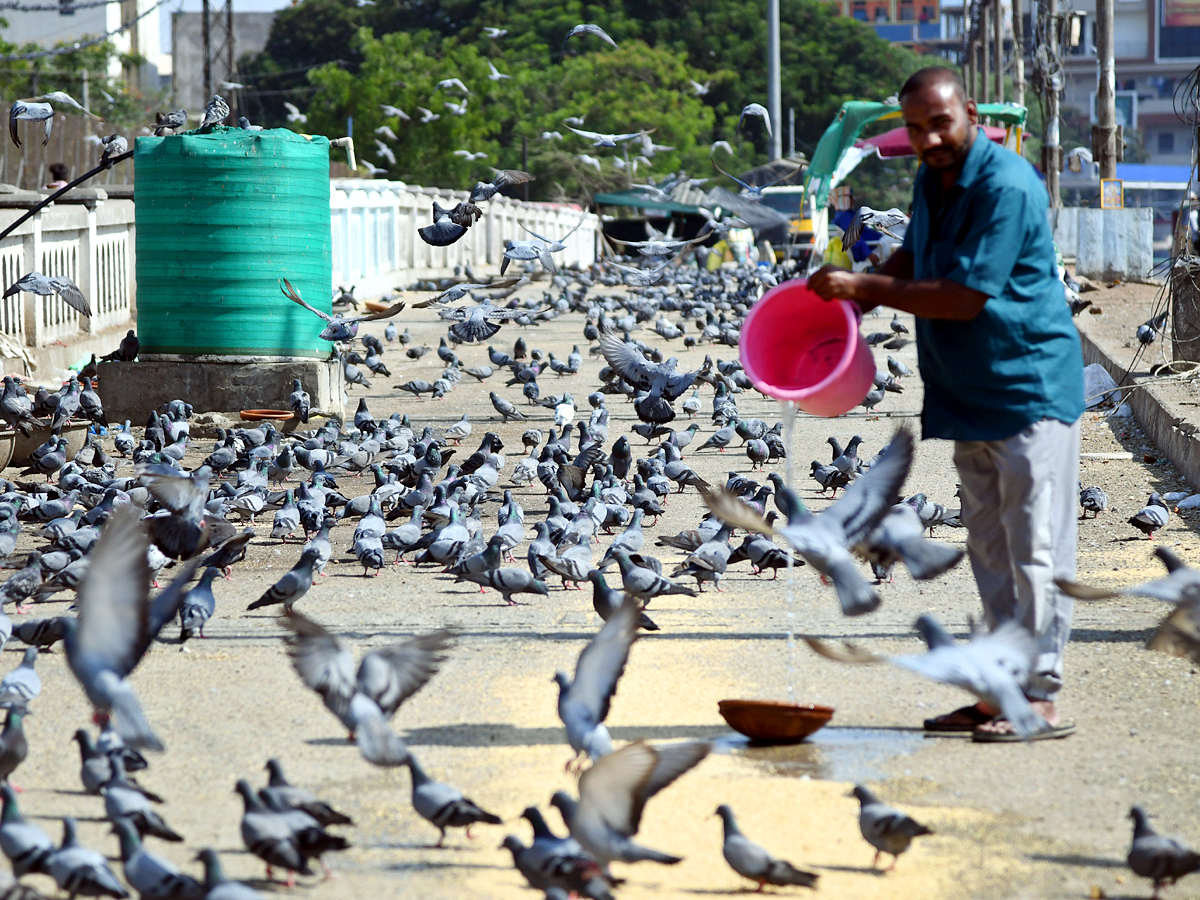 Best Photos of The Day in AP and Telangana Photo Gallery5