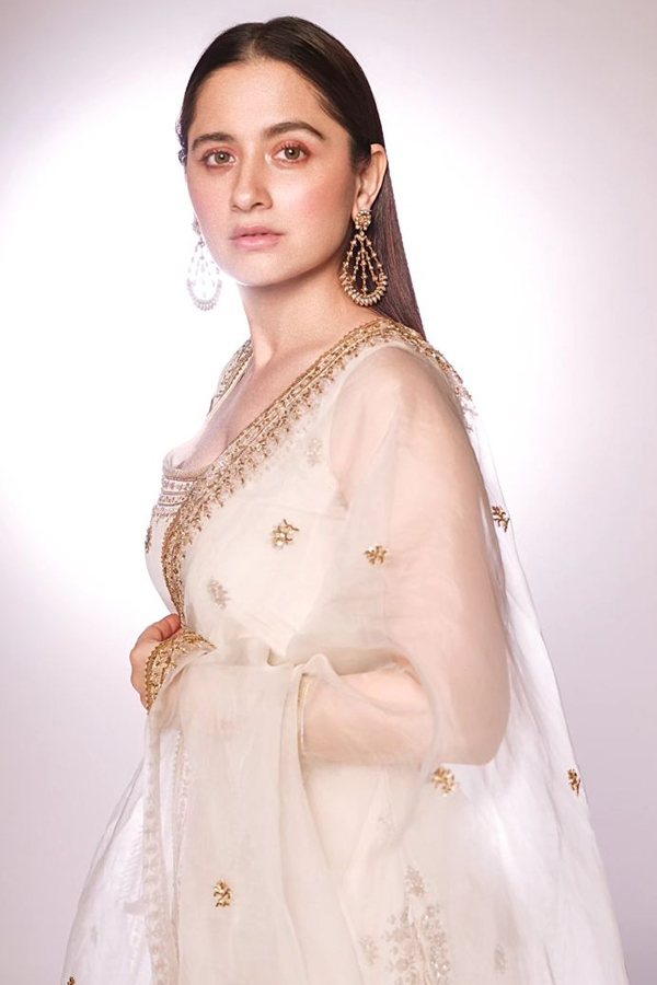 Heeramandi Heroine Sanjeeda Sheikh Ultimate Saree Looks12