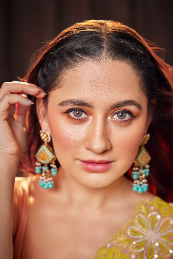 Heeramandi Heroine Sanjeeda Sheikh Ultimate Saree Looks3