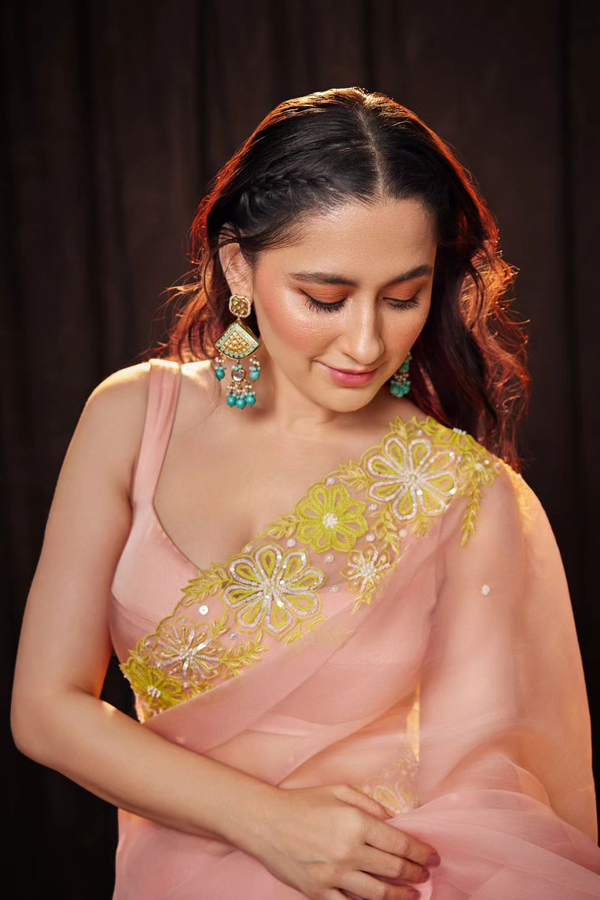 Heeramandi Heroine Sanjeeda Sheikh Ultimate Saree Looks4