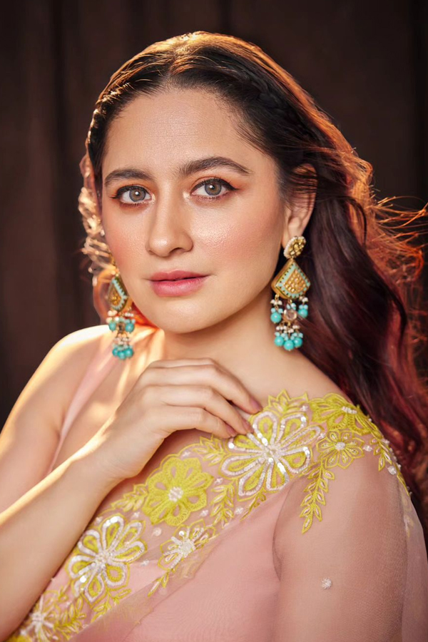 Heeramandi Heroine Sanjeeda Sheikh Ultimate Saree Looks5