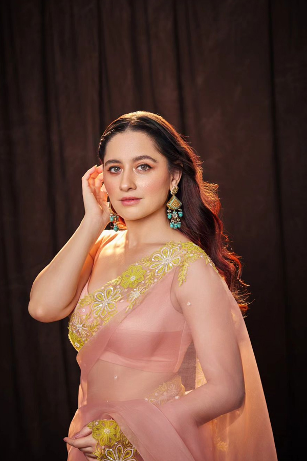 Heeramandi Heroine Sanjeeda Sheikh Ultimate Saree Looks6