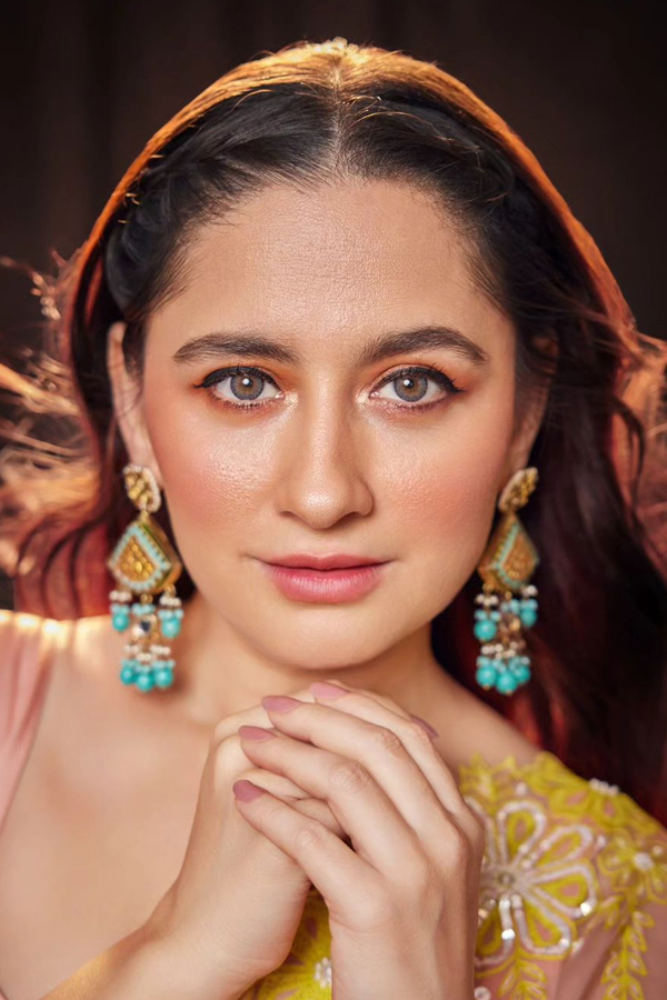 Heeramandi Heroine Sanjeeda Sheikh Ultimate Saree Looks8