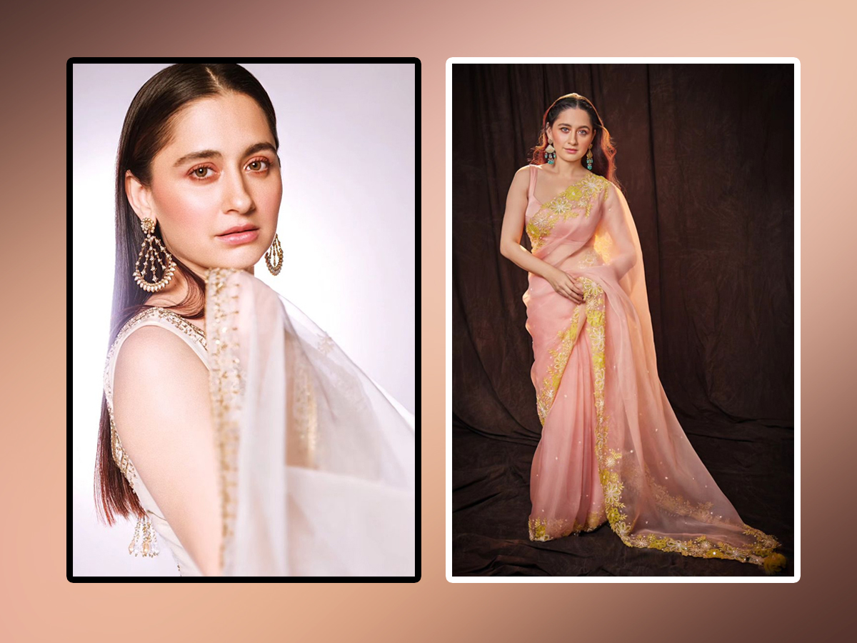 Heeramandi Heroine Sanjeeda Sheikh Ultimate Saree Looks1