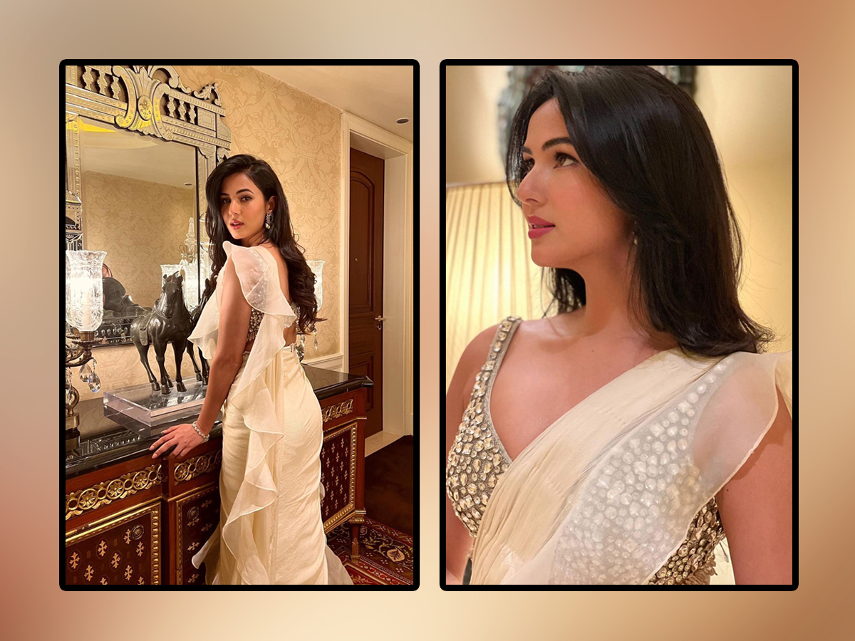 Bollywood Actress Sonal Chauhan In White Saree Photos Viral1