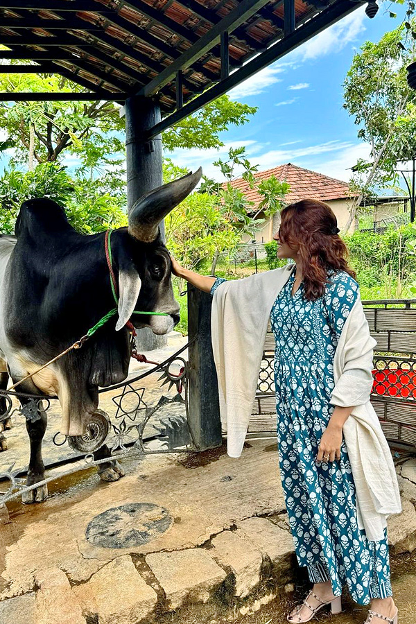 Samantha Ruth Prabhu Shares Meditative Moments From Ashram Photos11