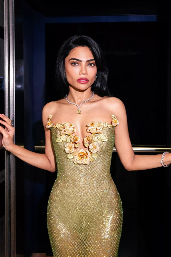 Met Gala 2024: Indian Beauty Mona Patel Photos Goes Viral16