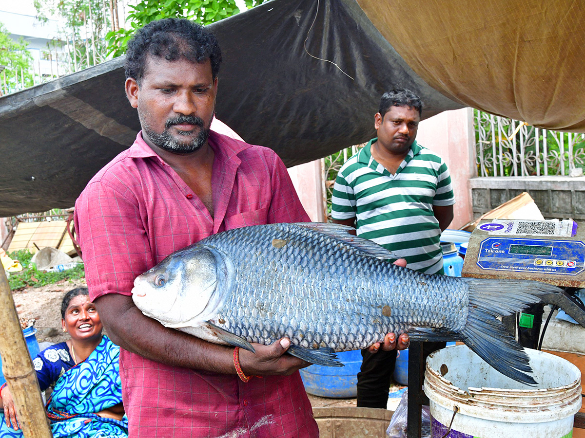 Best Photos of The Day in AP and Telangana Photo Gallery9