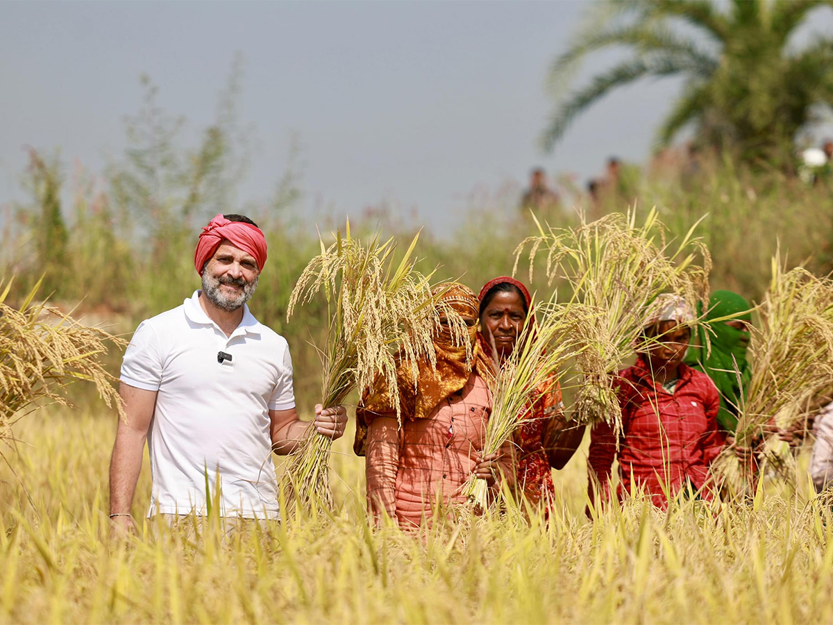 Happy Birthday Rahul Gandhi: RaGa Transformation In Indian Politics Photos34