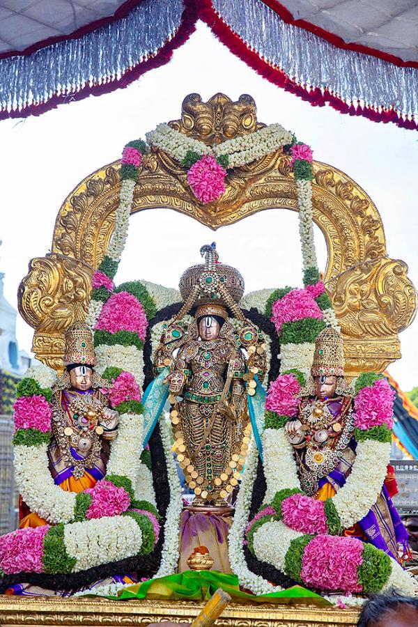 Srivari Jyeshtabhishekam at Tirumala Photos7